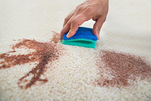 Stain and Odor Removal in Hempstead, NY